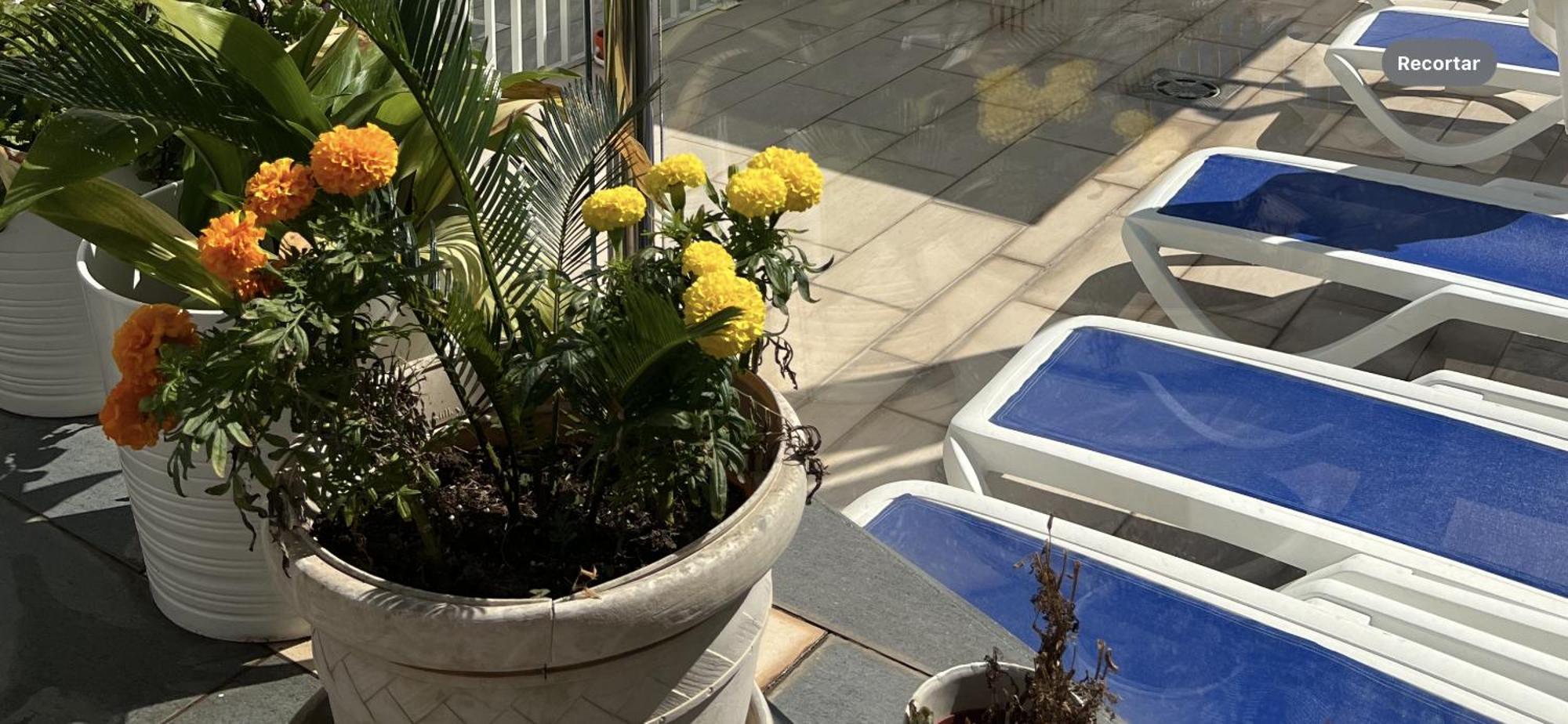 Ancla Real Apartamentos Loft เอลปูแอร์โต เด ซานตามาริอา ภายนอก รูปภาพ